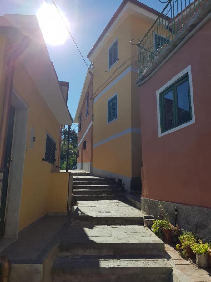 Vitis Vitae Vernazza, San Bernardino 5 Terre Kültér fotó